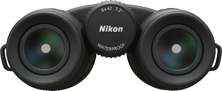 Jumelles noires, marque Nikon. Fond blanc.