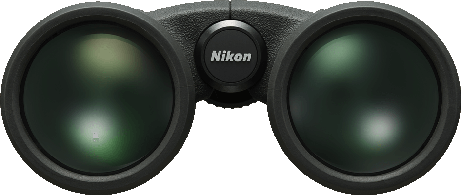 Jumelles avec un logo Nikon, les lentilles sont visibles.