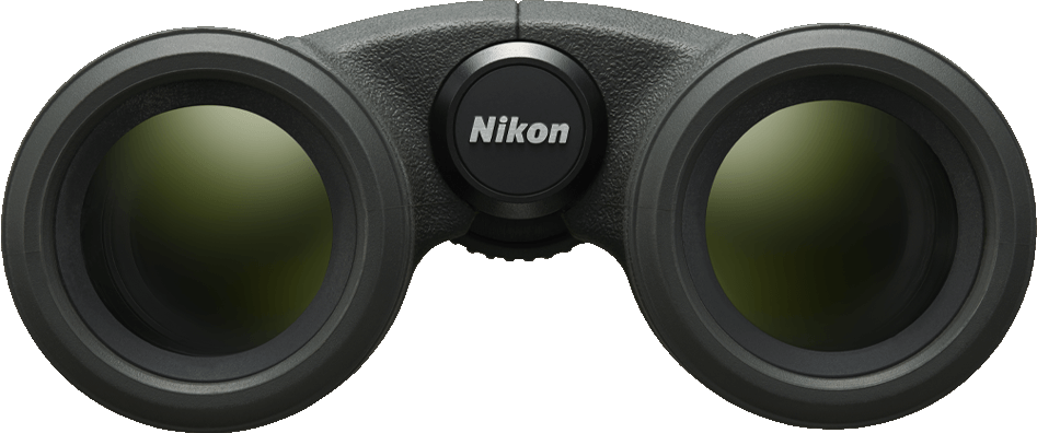 Jumelles avec lentilles, molette de mise au point centrale et logo Nikon.