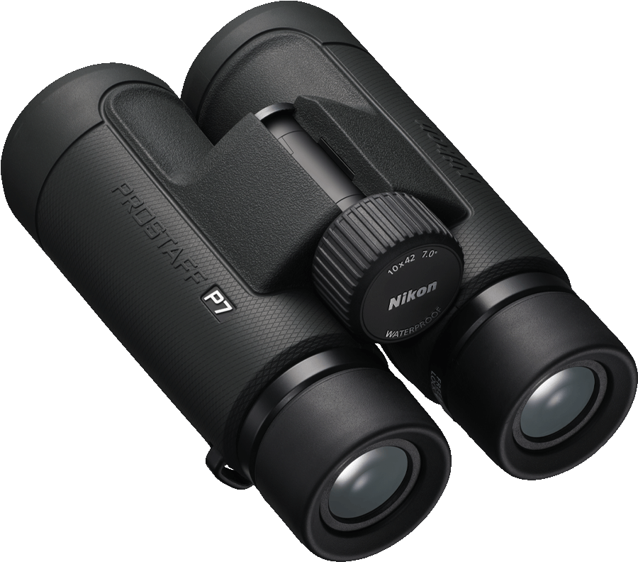 Jumelles Nikon Prostaff P7 noires, en angle, montrant la molette de mise au point et les lentilles.