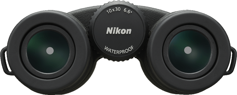 Gros plan sur des jumelles noires. La marque Nikon est visible. Les lentilles sont vertes.