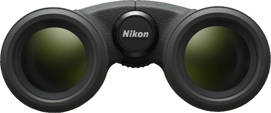 Jumelles. Jumelles de marque Nikon, noires avec lentilles vertes. Logo Nikon centré.