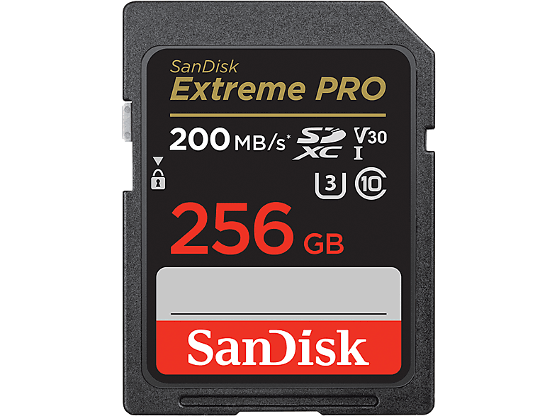 SANDISK SDXC Pro 256GB + Rescue Pro kopen? |