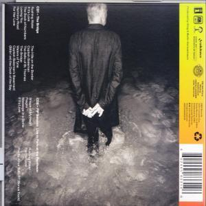 Rückseite einer Person in dunkler Kleidung, die im Wasser steht. Albumcover mit dem Titel 'The Bridge'.