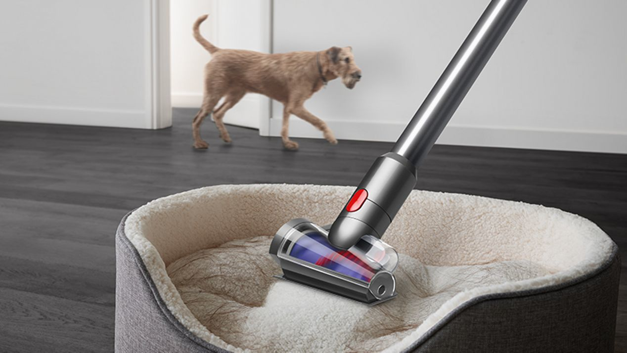 Tête d'aspirateur Dyson nettoyant un panier pour chien ; un chien marche derrière.