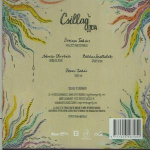 Egy album hátlapja színes absztrakt művészettel és fekete szöveggel.