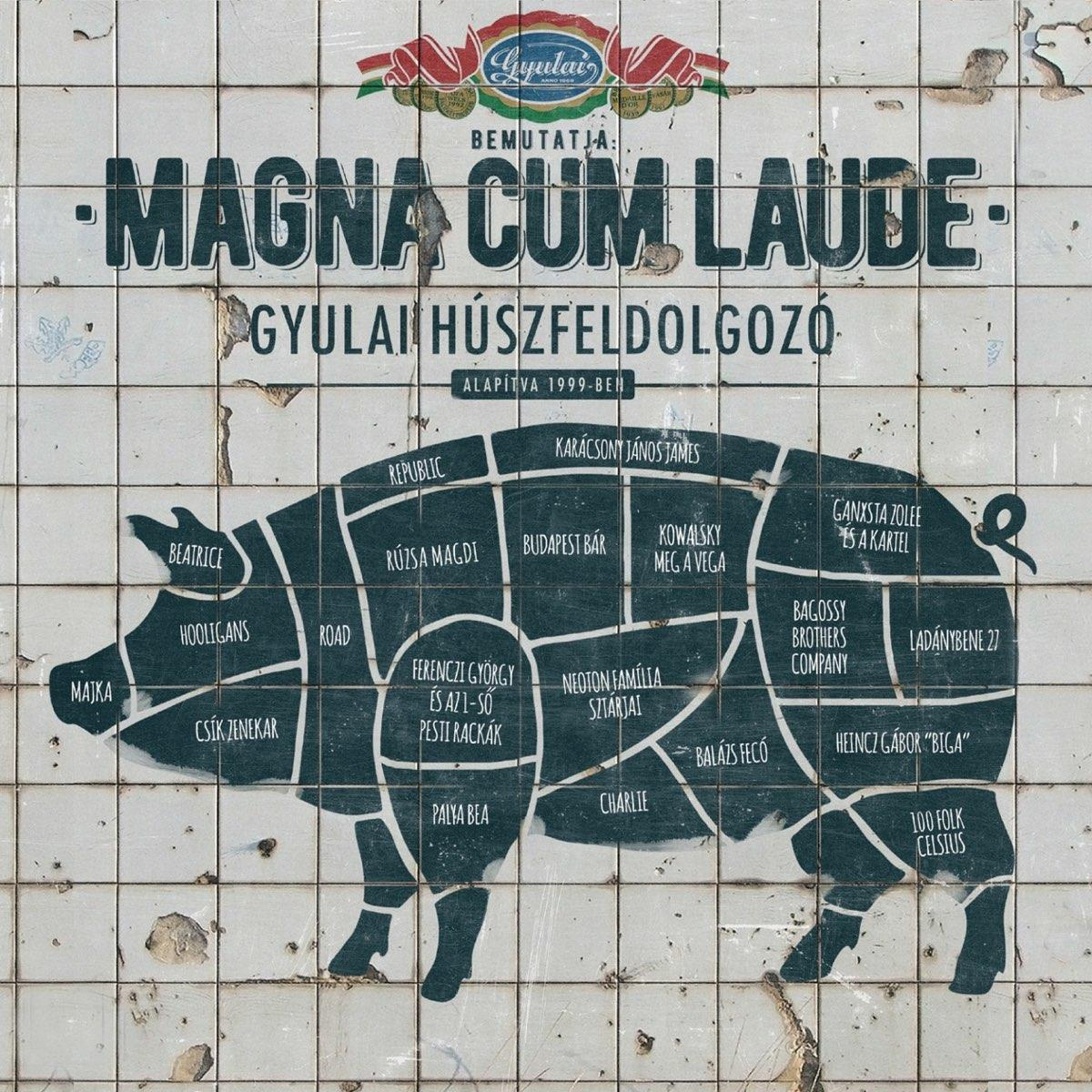 Hentes diagram csempézett falon, sertés körvonallal és feliratozott szeletekkel, plusz céglogó.