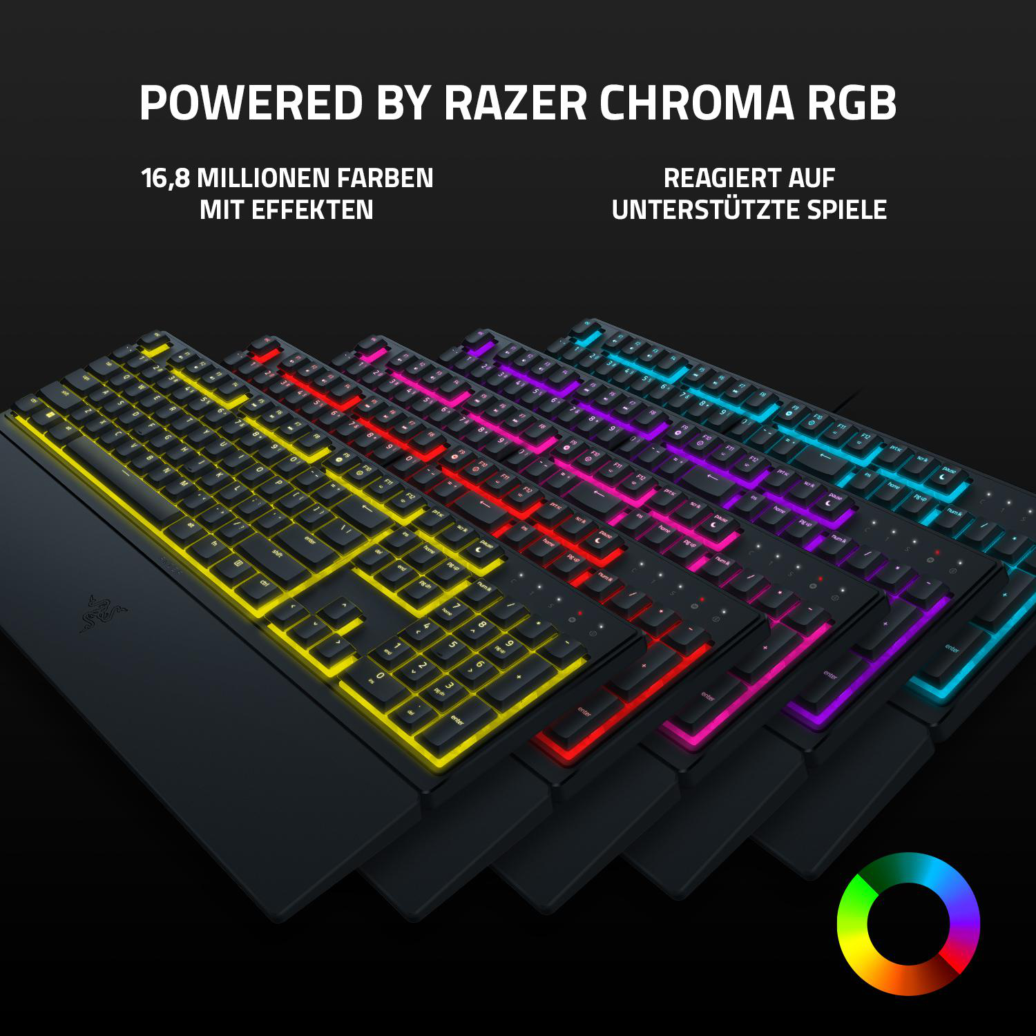 Tastaturen mit bunten Lichtern werden ausgestellt und bewerben Razer Chroma RGB.