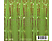 Lizette Lizette - Miss Gendered (CD)