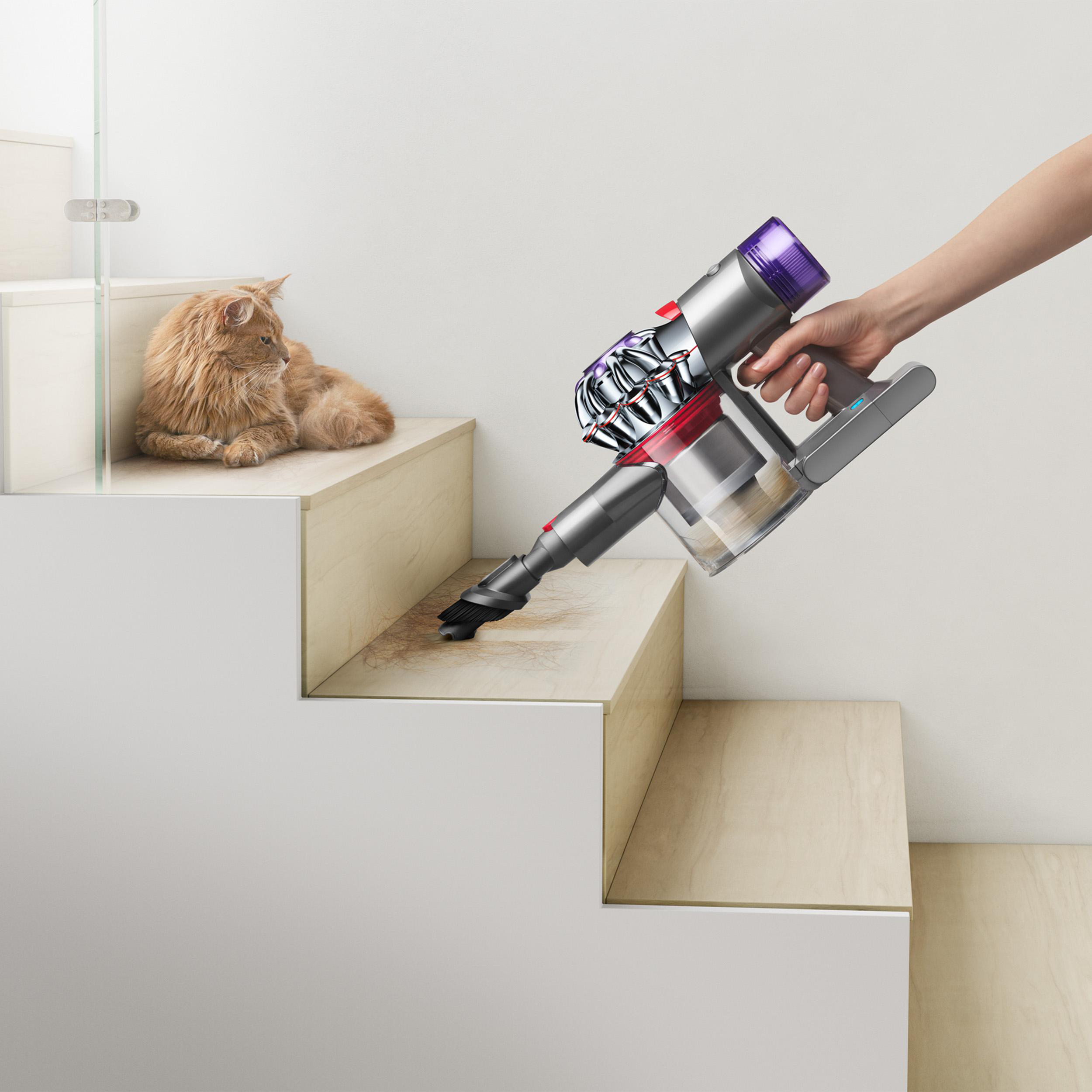Eine Person saugt Holztreppen mit einem Staubsauger, während eine Katze auf der Treppe sitzt.