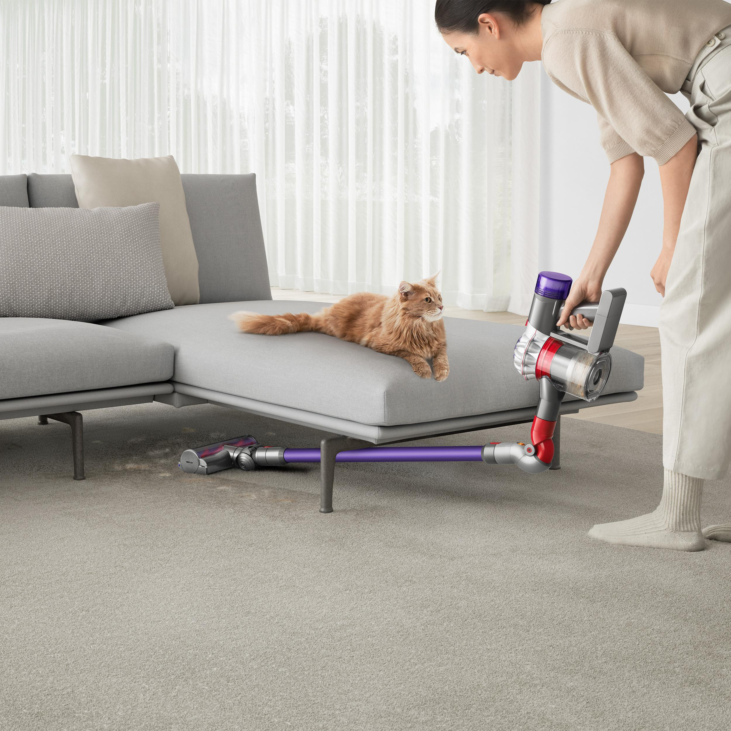 Frau, die ein graues Sofa mit einer Katze darauf saugt. Staubsauger ist ein Dyson-Modell.