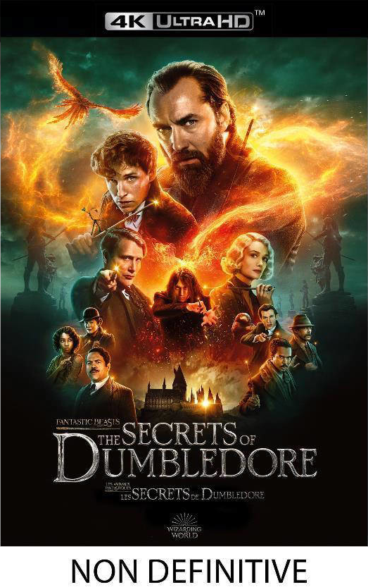 Filmposter: 'Fantastic Beasts', personages, tekst 'Secrets of Dumbledore'.
