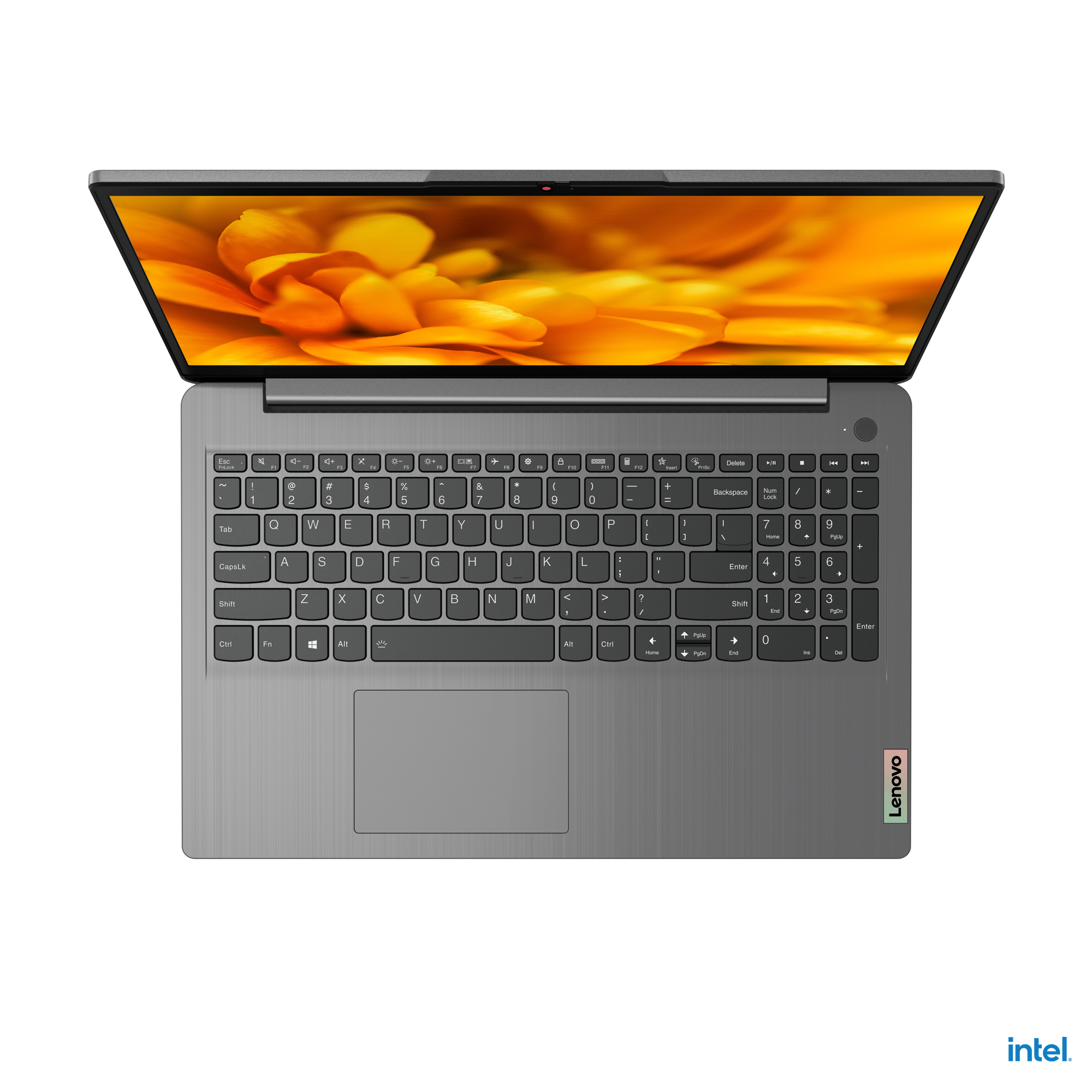 LENOVO IDEAPAD 3 - 15.6 inch - Intel Core i3 - 8 GB - 256 GB