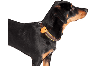 Collar luz LED | Flamingo & Night Blinkis, Para mascotas, Silicona, 1 unidad, Color