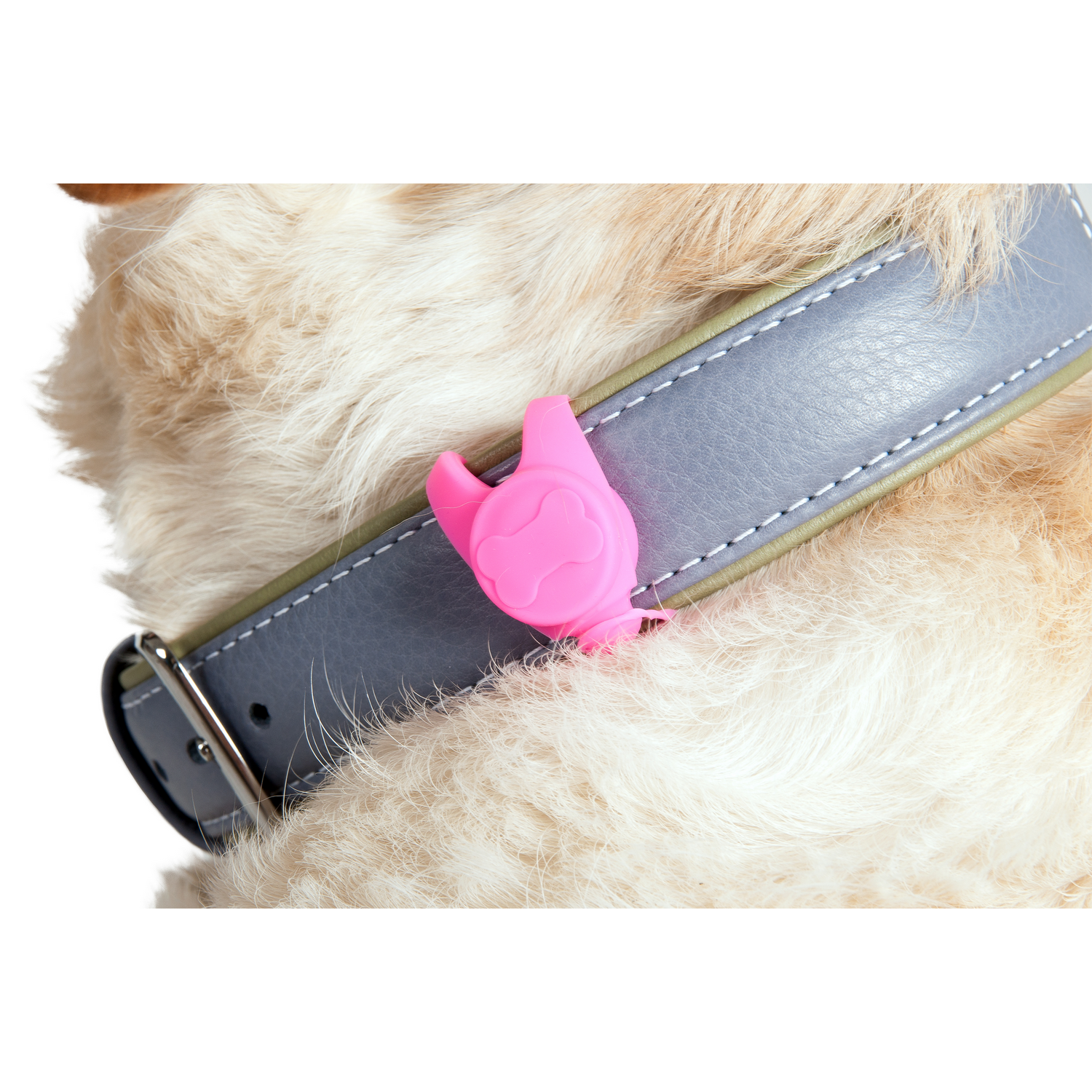 Collar de perro con una etiqueta rosa en forma de pata adjunta.