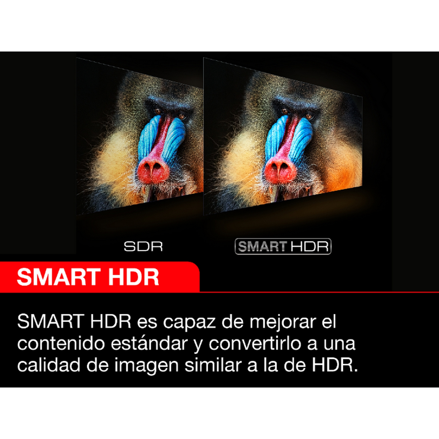 Dos imágenes de pantalla que muestran mandriles, con etiquetas: SDR y SMART HDR, con texto debajo.