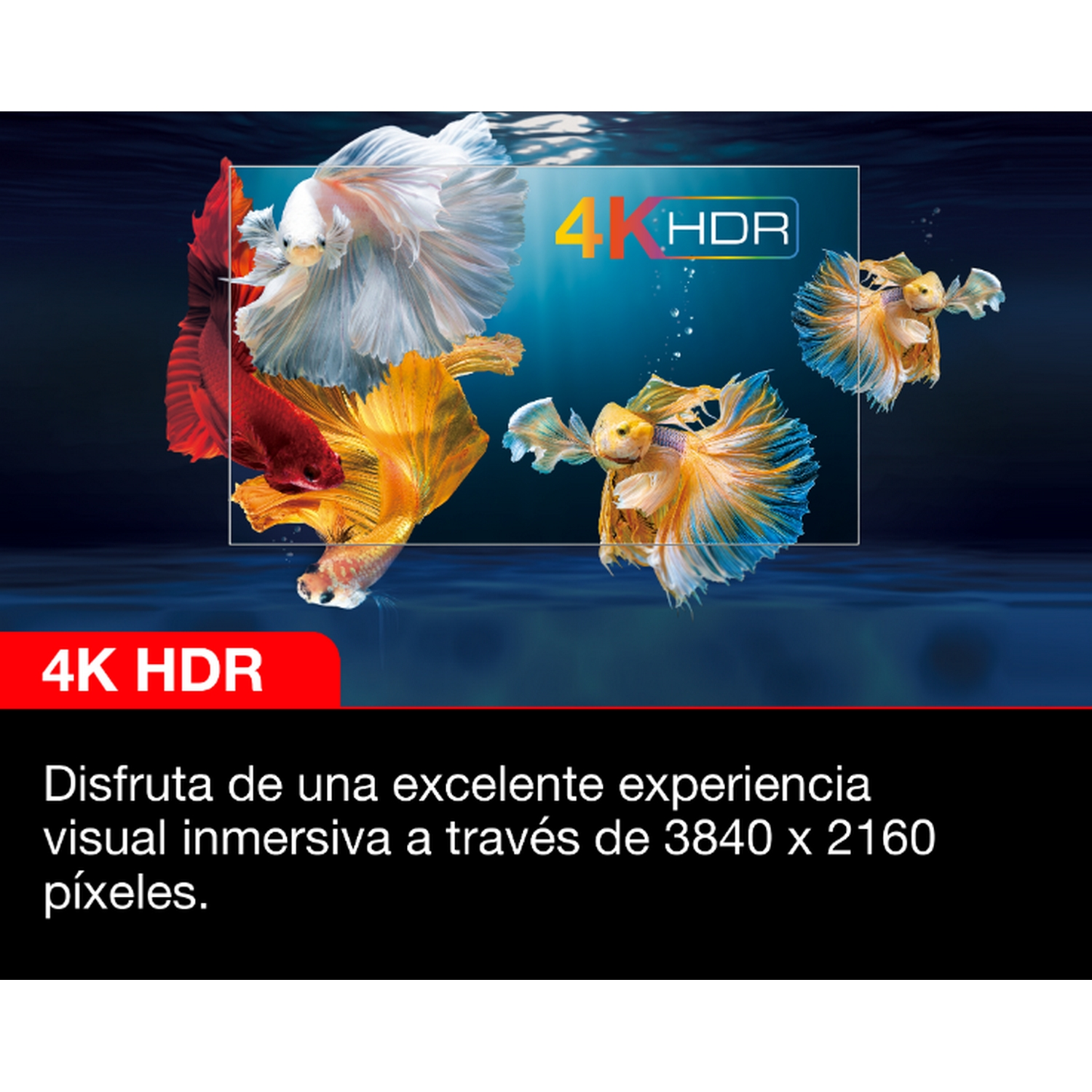 Peces coloridos nadan en una pantalla 4K HDR, promoviendo una experiencia visual inmersiva.
