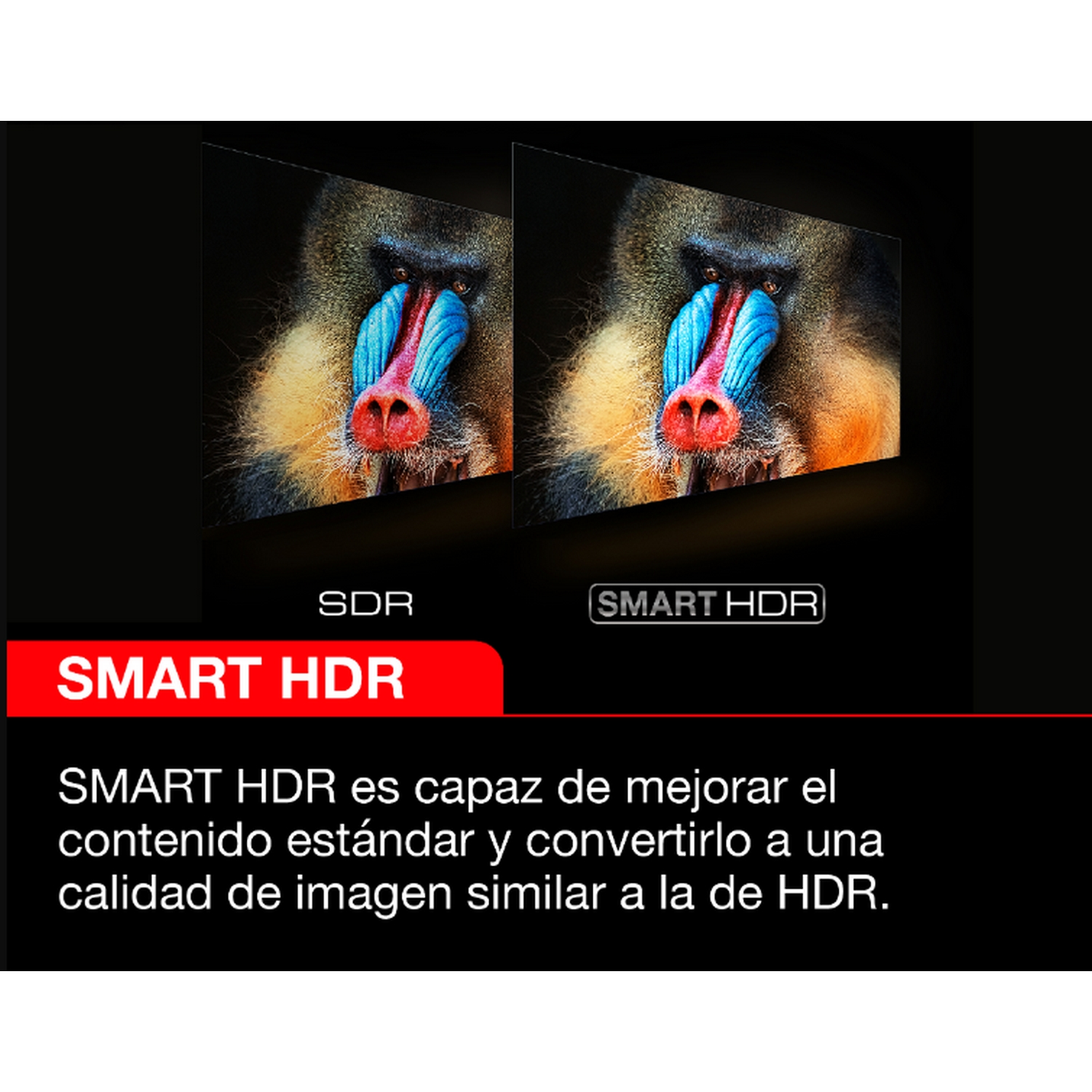 Imagen que compara SDR y Smart HDR de la cara de un mono. Texto Smart HDR debajo.