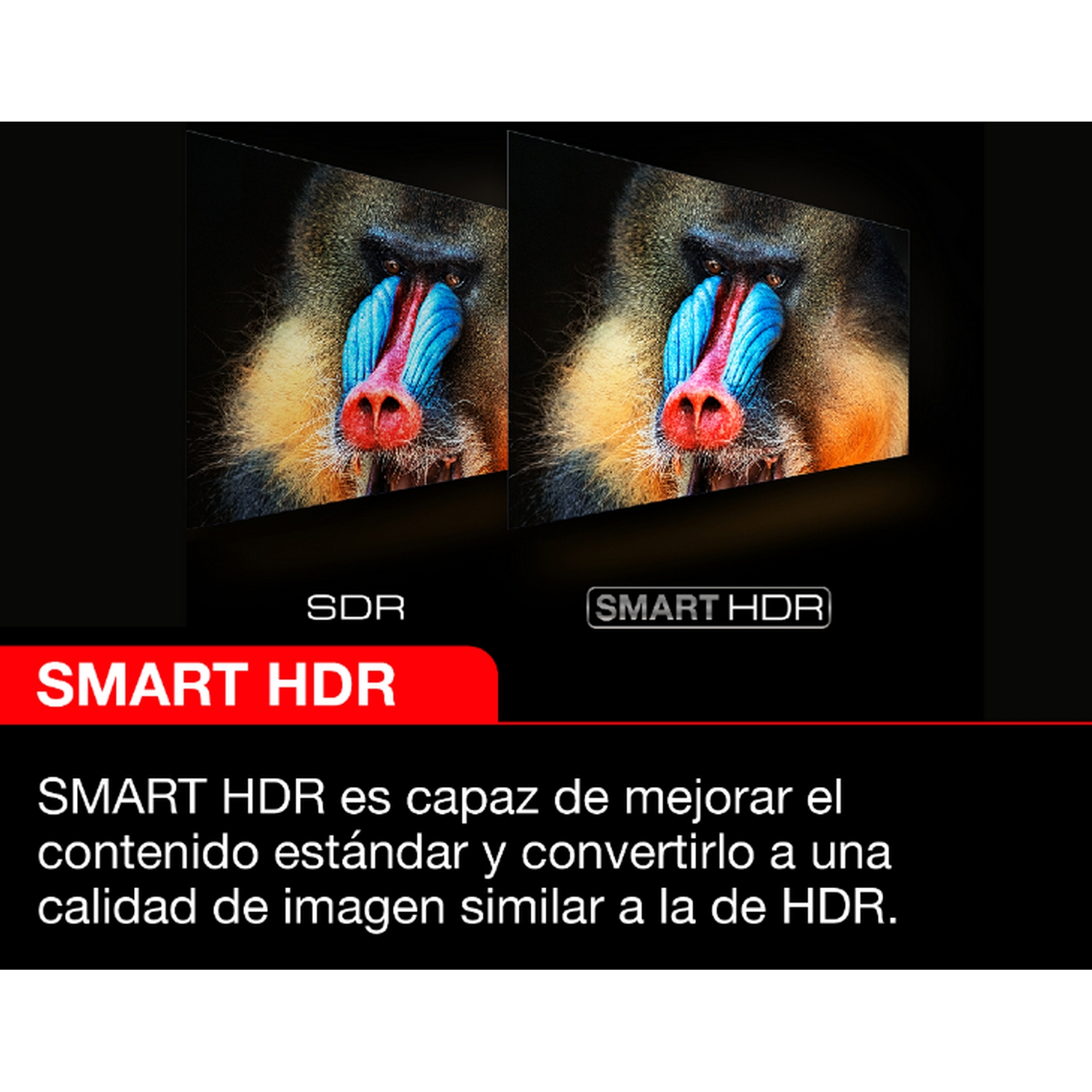 Dos caras de mandril lado a lado, una SDR, la otra Smart HDR. Comparación de la calidad de imagen.