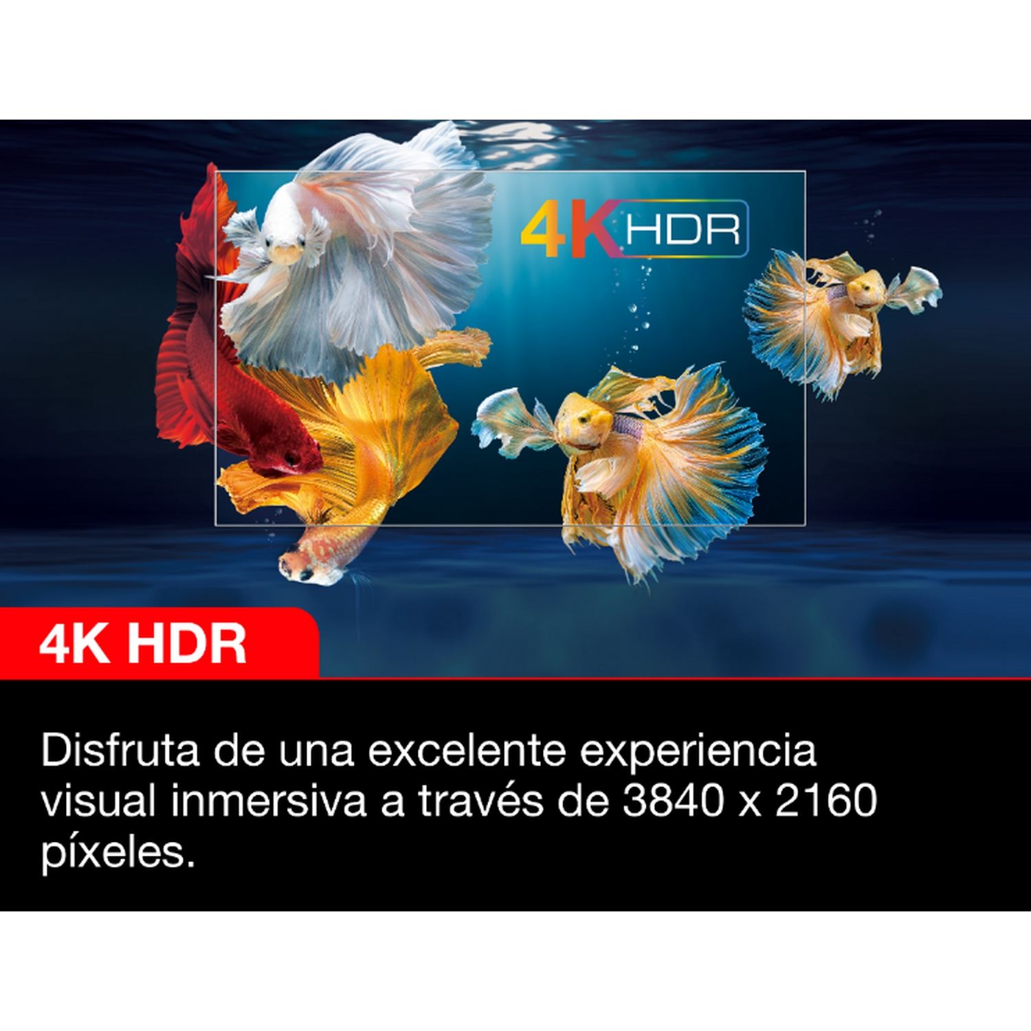 Peces en una pantalla con texto 4K HDR mostrado en la pantalla.