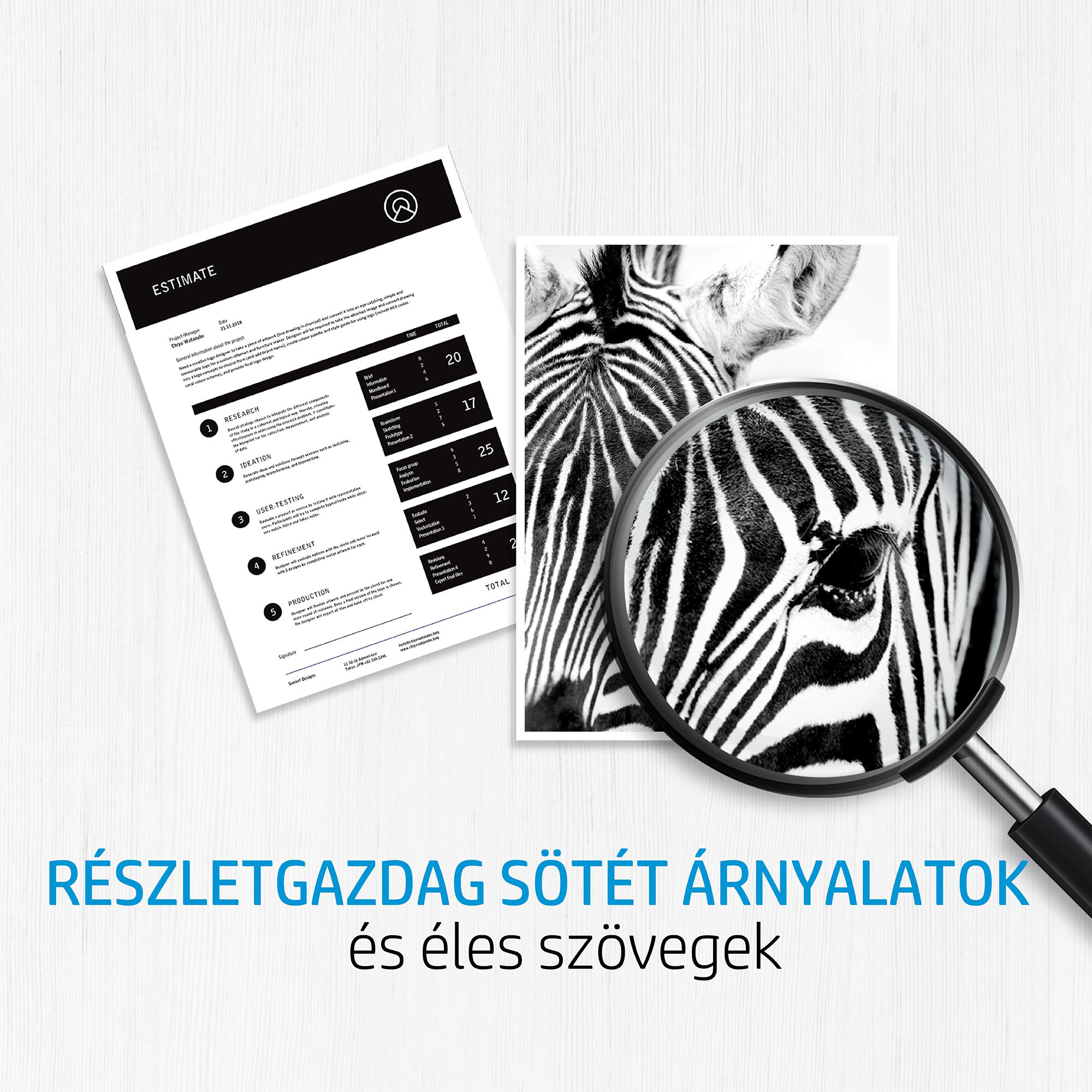 Becslés és zebra kép nagyítóval. Szöveg: Részletgazdag sötét árnyalatok és éles szövegek.