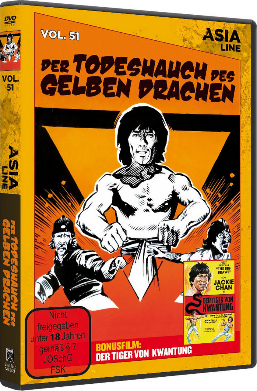 DVD-Cover mit Filmplakat eines Mannes in Kampfsportpose.