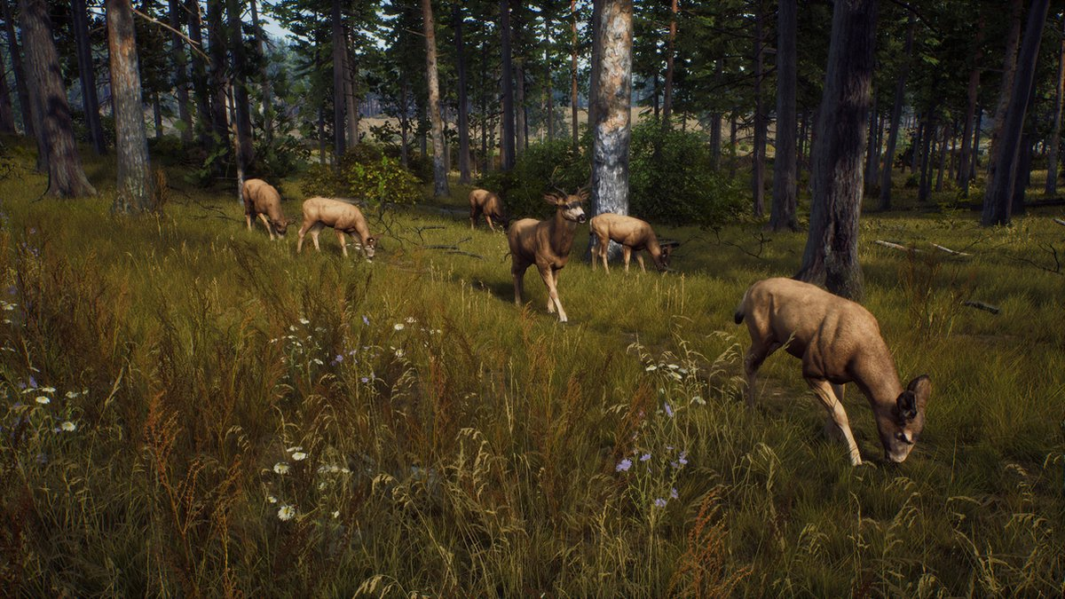 Way of the Hunter | PlayStation 5