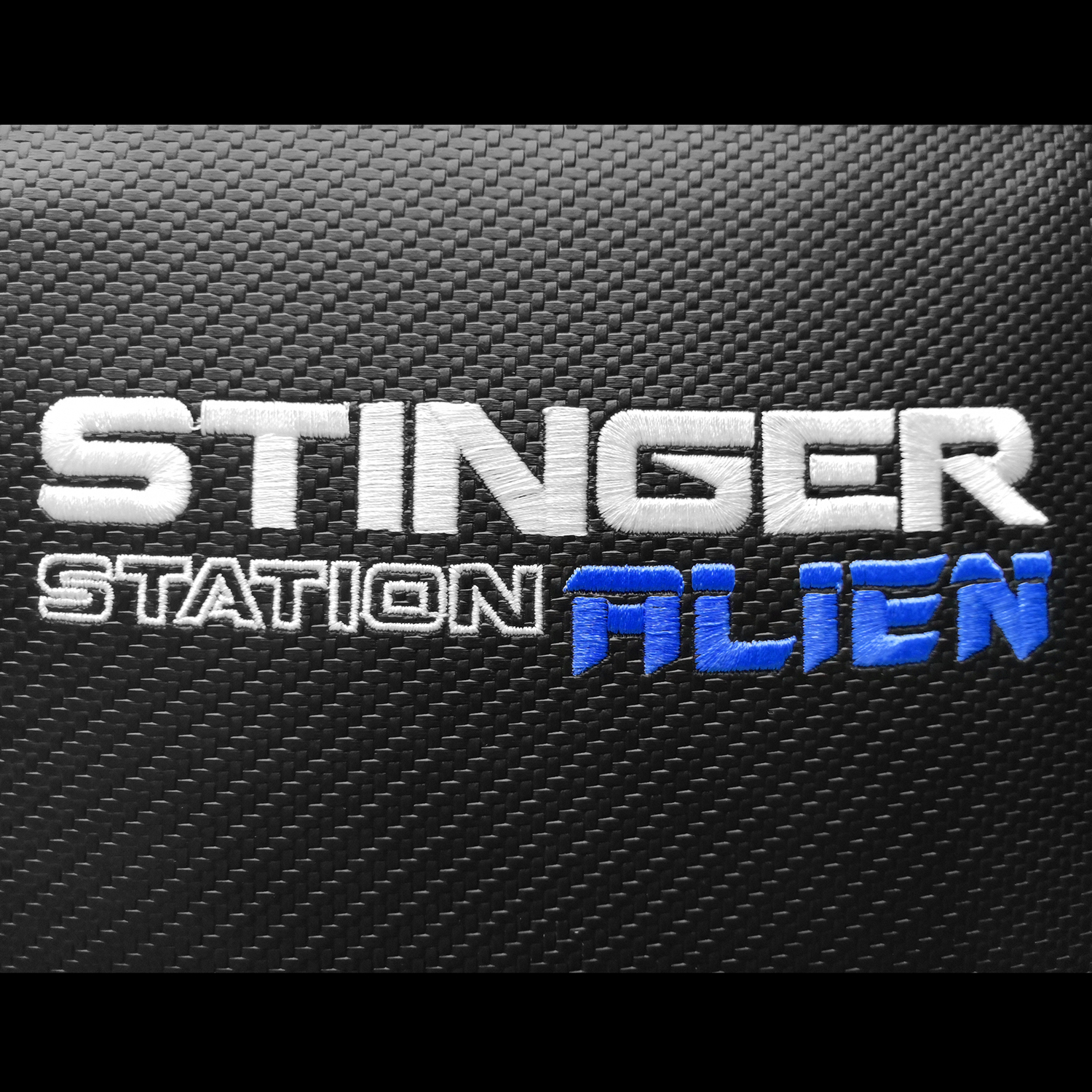 Imagen de primer plano del texto STINGER STATION ALIEN sobre una superficie negra texturizada.