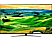 LG 55QNED819QA - TV (55 ", UHD 4K, NanoCell)