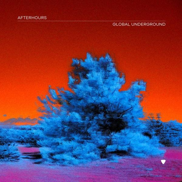 Albumhoes met een blauwe boom voor een oranje en roze achtergrond. Tekst bovenaan: AFTERHOURS.