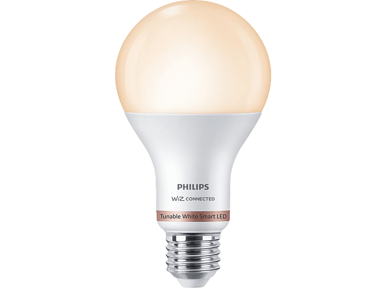 Kit de 2 bombillas PHILIPS WIZ estándar E27 8W RGB