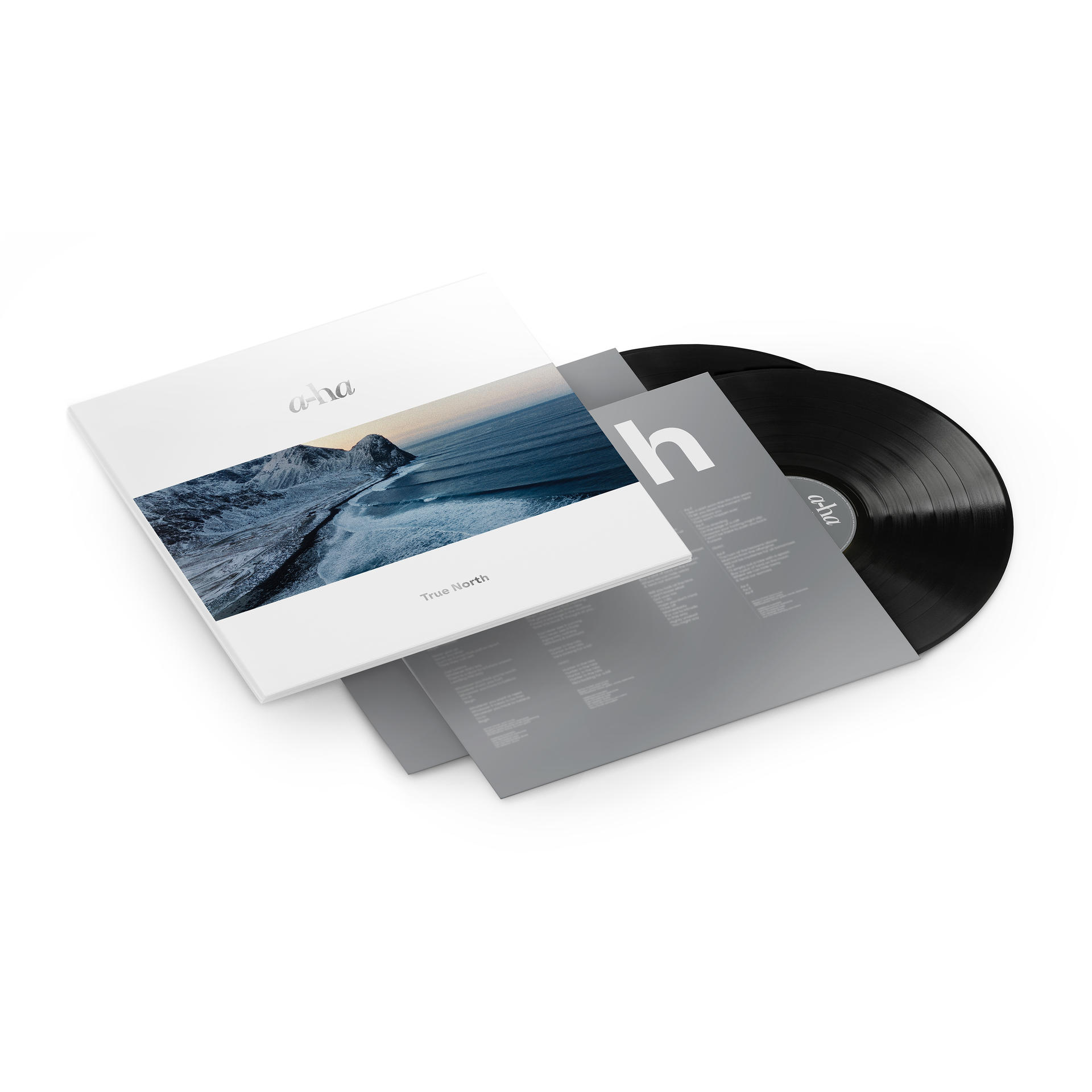 Vinyle avec pochette d'album ; Pochette blanche avec un paysage bleu et blanc.