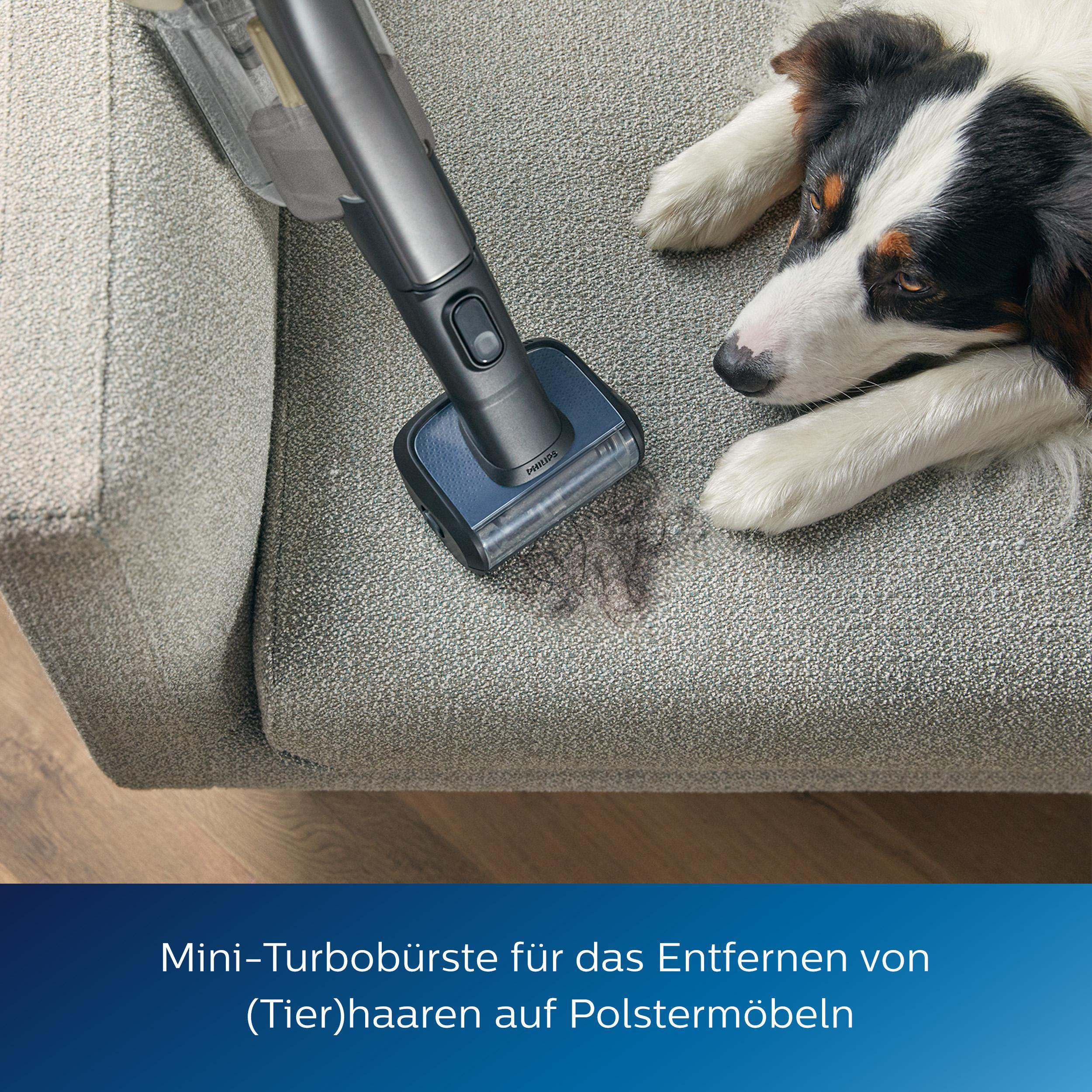 Ein Handstaubsauger reinigt ein Sofa. Ein Hund liegt auf dem Sofa.