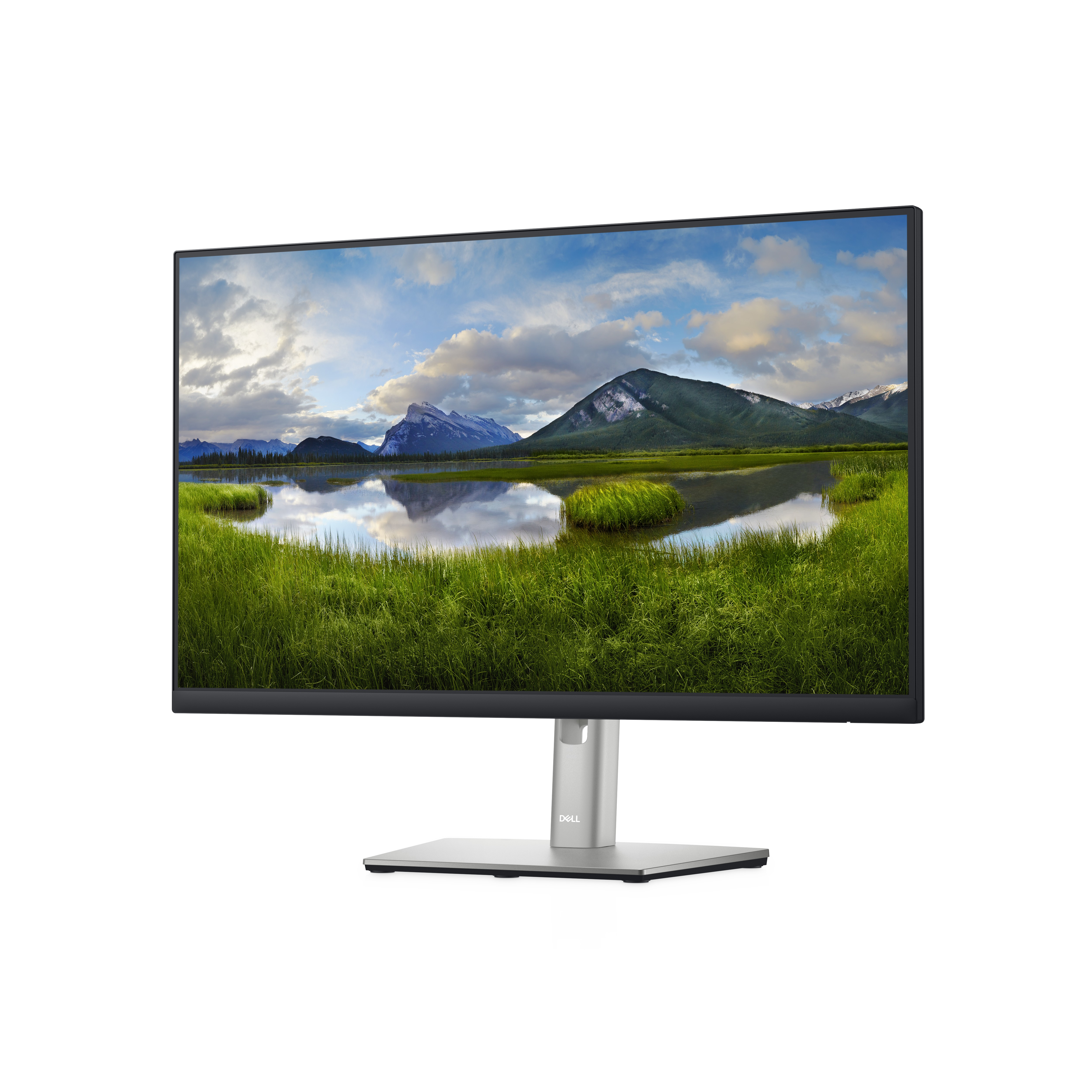 Ein Dell-Monitor zeigt eine Naturszene mit Bergen, Wasser und grünen Feldern.