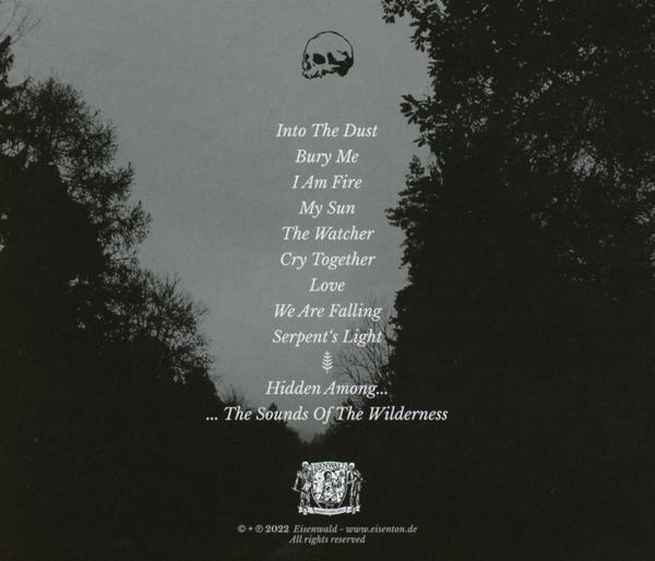 By The Spirits - We Are Falling  - (CD)