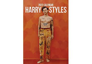 Harry Styles - Unofficial 2023 Calendar - A3-as naptár