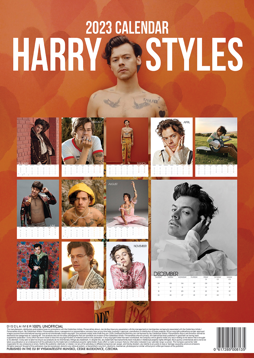 Harry Styles - Unofficial 2023 Calendar - A3-as naptár