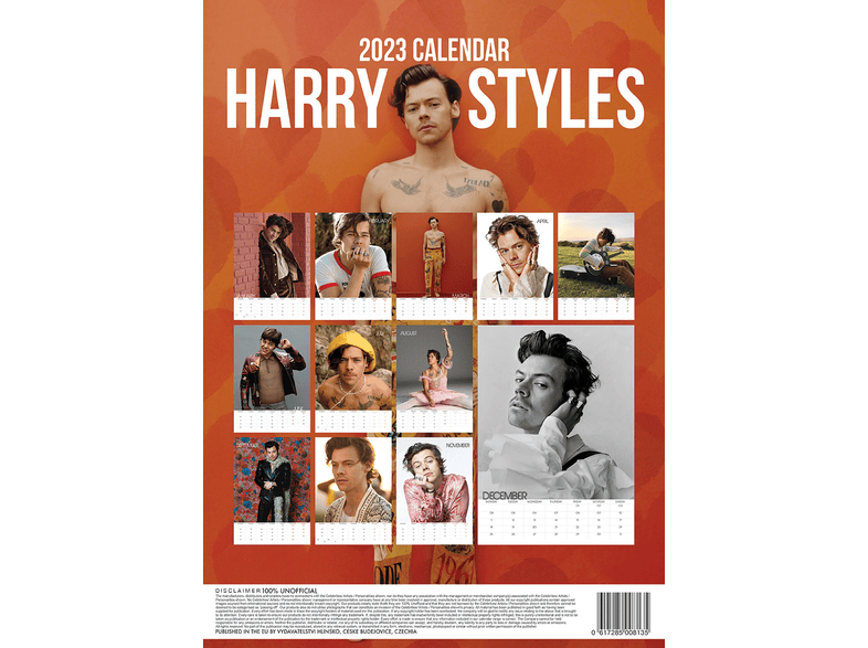 Harry Styles - Unofficial 2023 Calendar - A3-as naptár