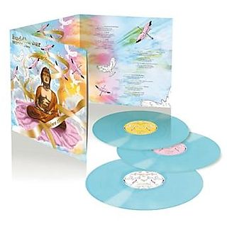 Ravin/Buddha Bar Presents - Buddha-Bar Best Of 1996-2013 (ltd.Blue transperent) [Vinyl]
