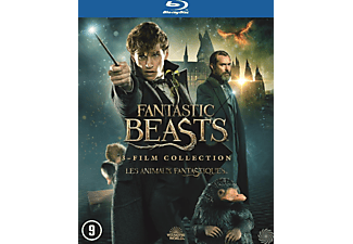 Fantastic Beasts 1 - 3 | Blu-ray