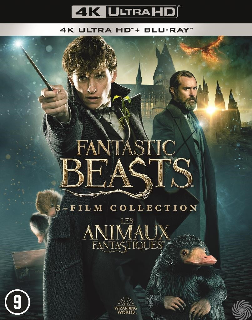 Warner Bros. Entertainment Ned Warner Bros Entertainment Nede Fantastic Beasts 1 - 3