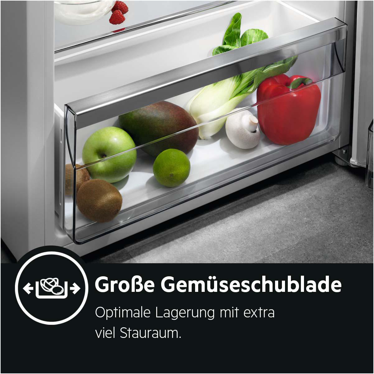 AEG RKB333E2DW Kühlschrank (309 l, E, 1550 mm hoch, Weiß)