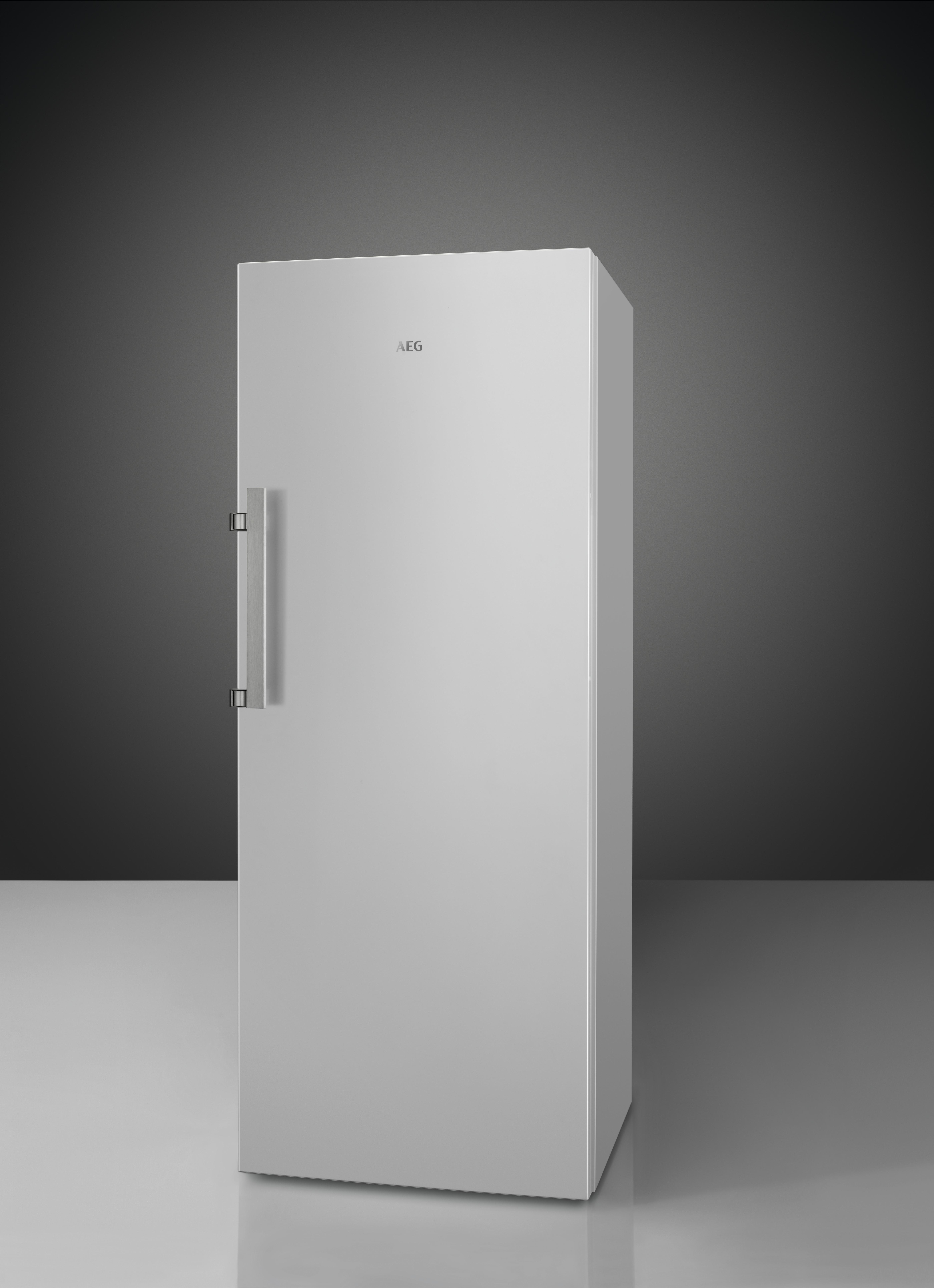 AEG RKB333E2DW Kühlschrank (309 l, E, 1550 mm hoch, Weiß)