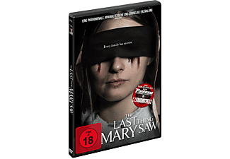 The Last Thing Mary Saw DVD