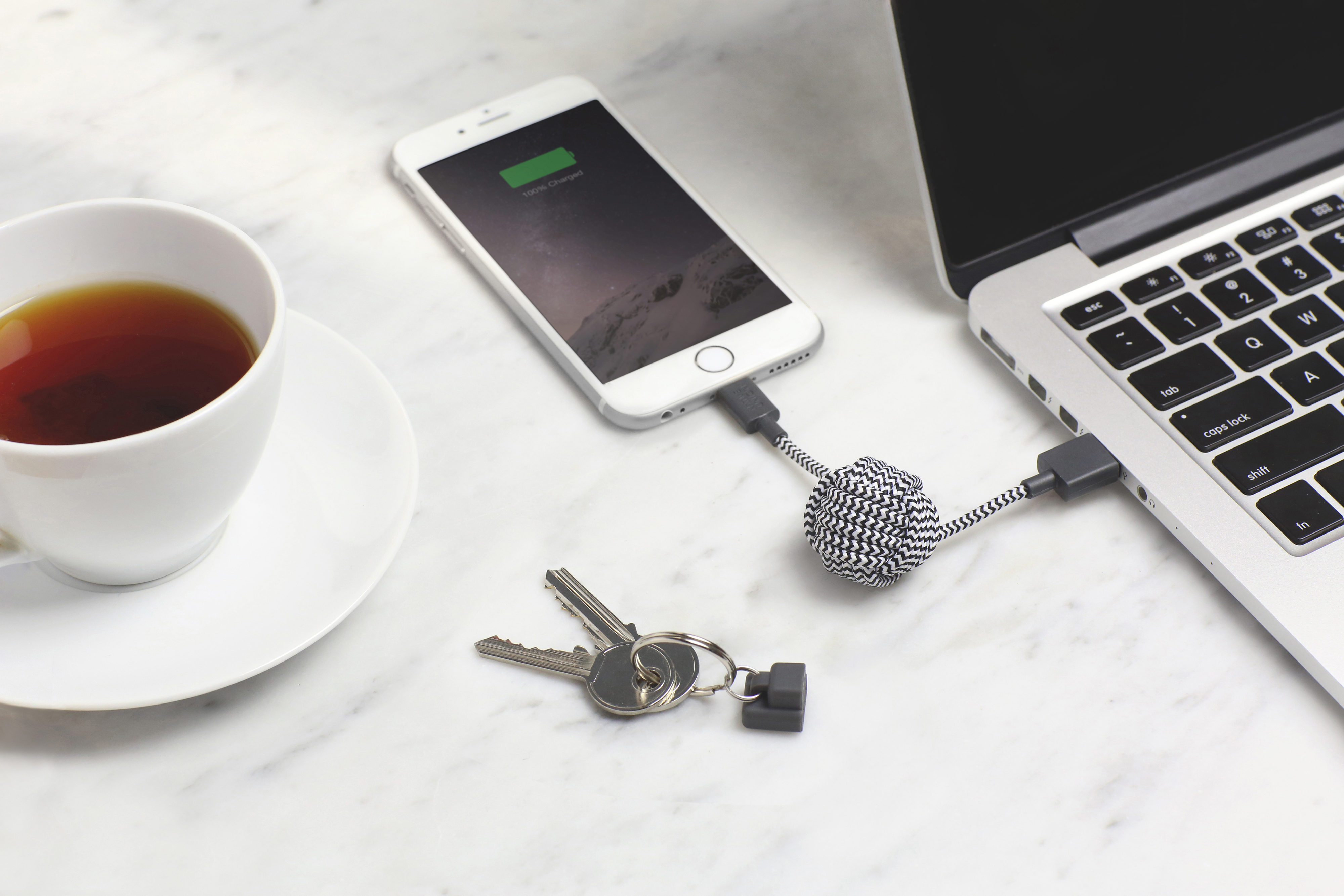 NATIVE UNION Key Cable - Schlüsselanhänger mit integriertem USB-A zu Lightning-Kabel (Zebra)