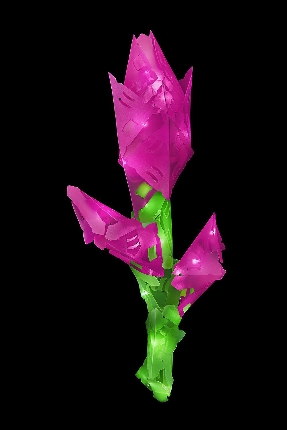 Eine leuchtende, künstliche Blume aus rosa, geometrischen Formen. Der Stiel und die Blätter sind grün, vor schwarzem Hintergrund.