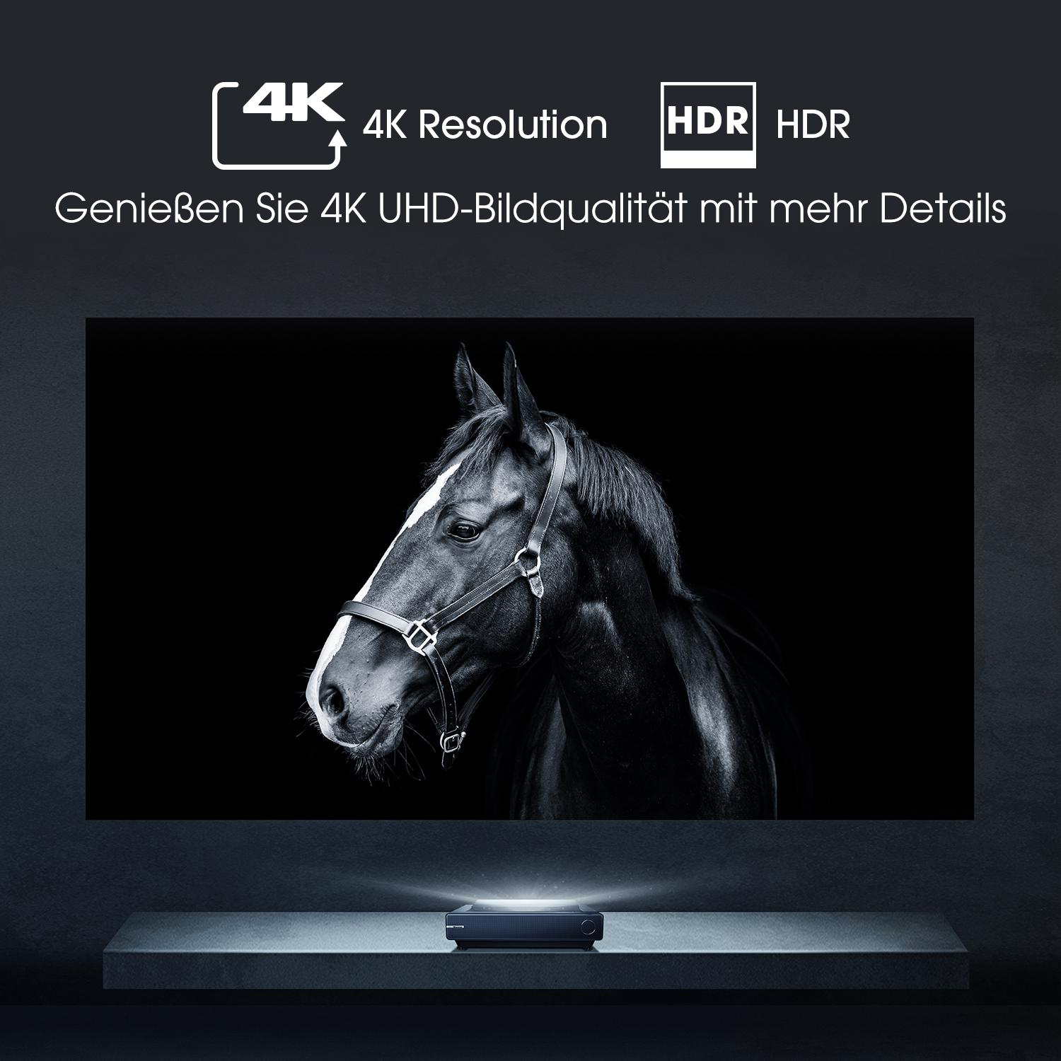 HISENSE TV Konsole Pro (UHD PX1 4K, Laser 2200 Lumen, WLAN)
