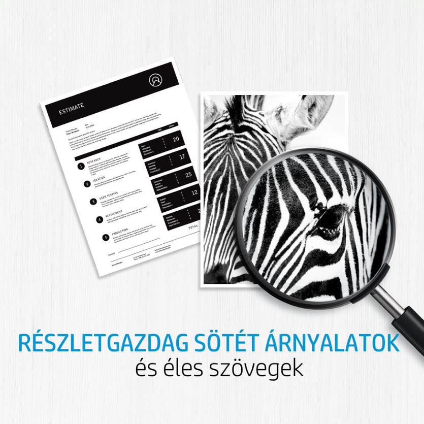 Egy dokumentum és egy zebra kép nagyítóval. Szöveg: Részletes sötét árnyalatok és éles szövegek.