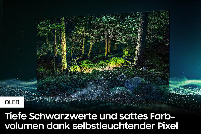 SAMSUNG OLEDGQ65S95BAT OLED TV (Flat, 65 Zoll / 163 cm, OLED 4K, SMART TV, Tizen™ mit Gaming Hub)