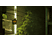 PS5 - Stray /D